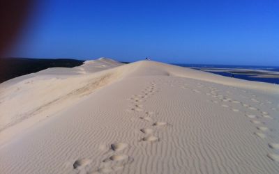 Les Dunes du Pilat